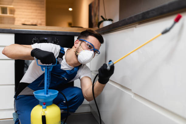 Best Rat Extermination Near Me  in Lackland Af, TX
