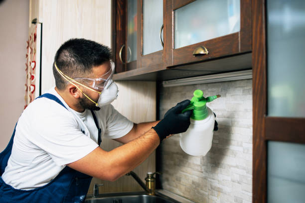 Best Affordable Pest Control Services  in Lackland Af, TX