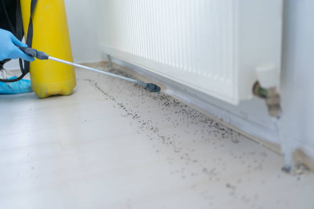 Best Pest Prevention Services  in Lackland Af, TX
