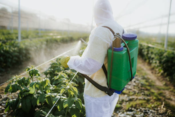 Lackland Af, TX Pest Control Company